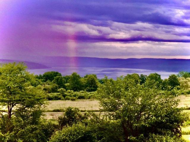 A Cayuga Lakefront Inn - Hotel Alt, Ithaca New York Экстерьер фото